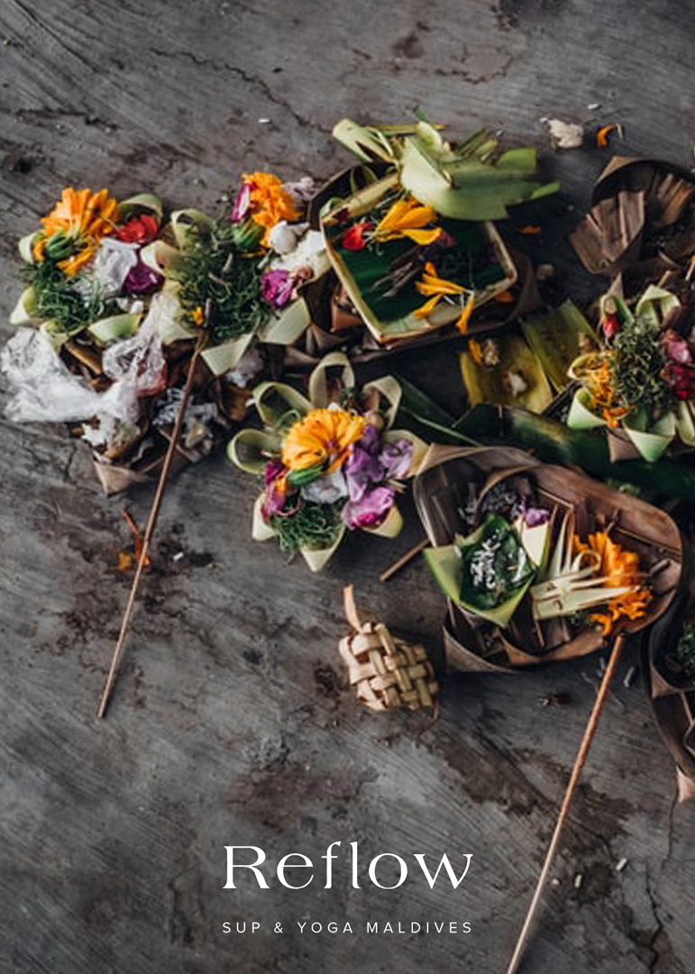 branding-markenstrategie-rebranding-branddesign-reflow-by-studio-sesenta (2)