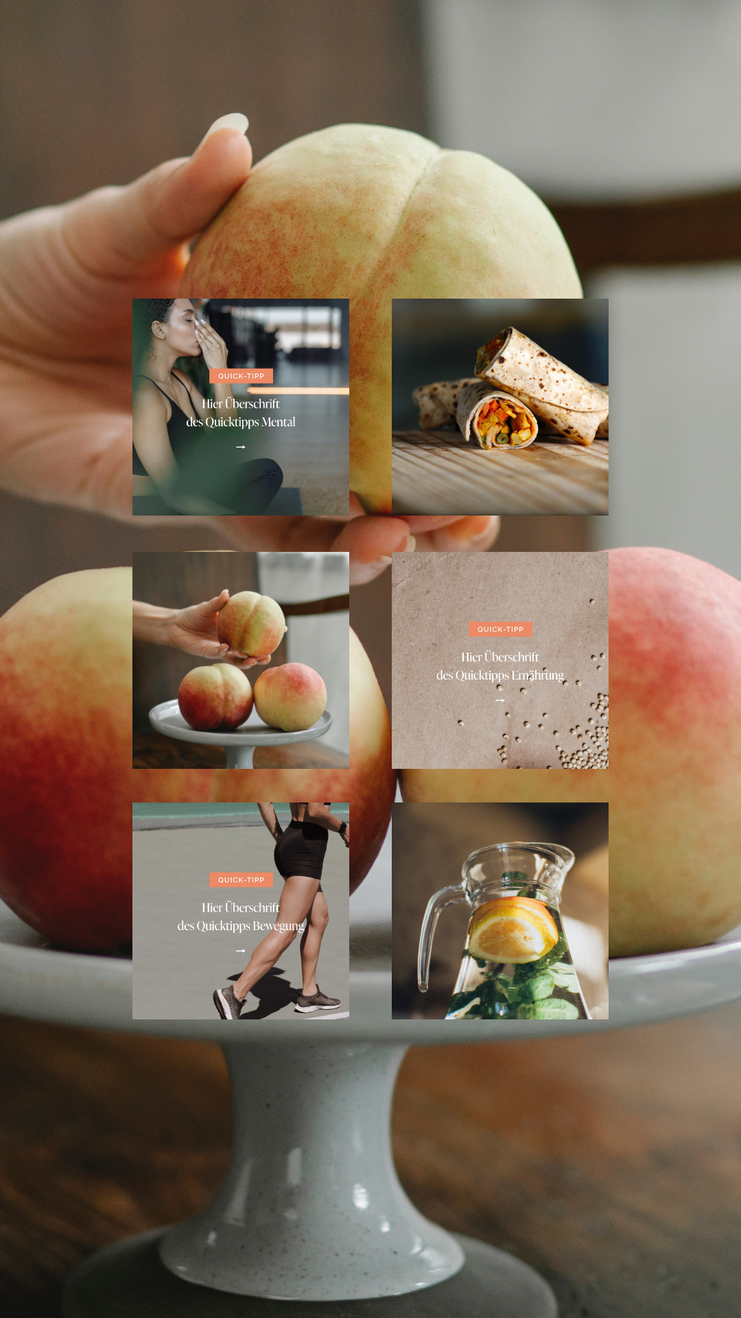 studio sesenta Brand Design kochenOHNE